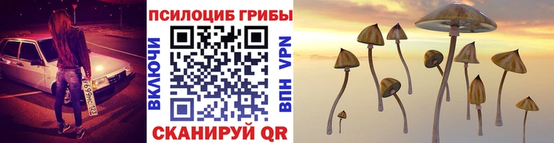 Галлюциногенные грибы MAGIC MUSHROOMS площадка официальный сайт Кушва